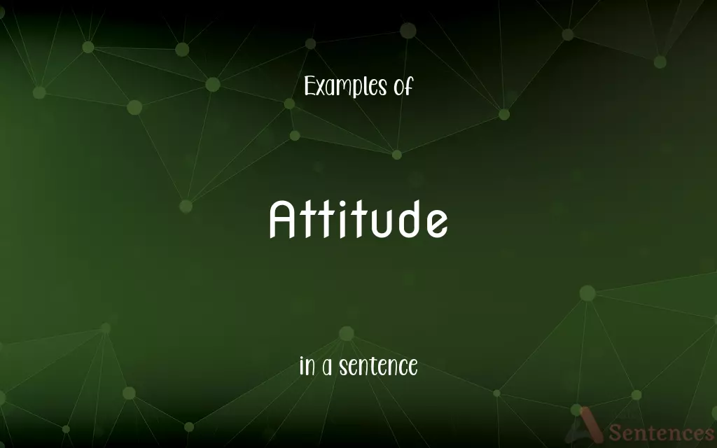 Attitude