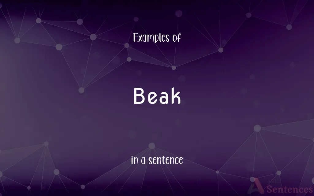 Beak