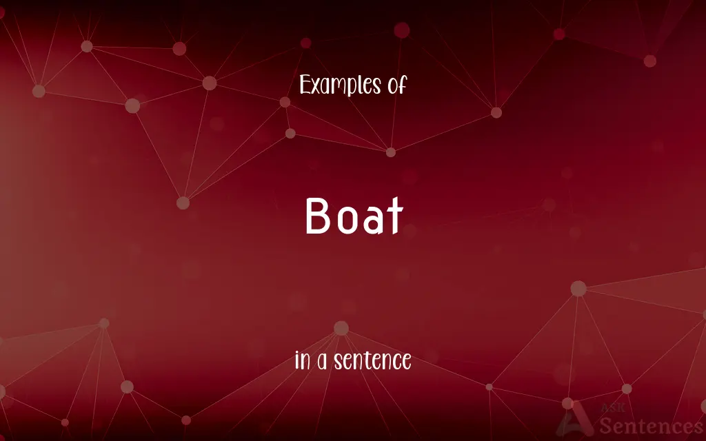 Boat