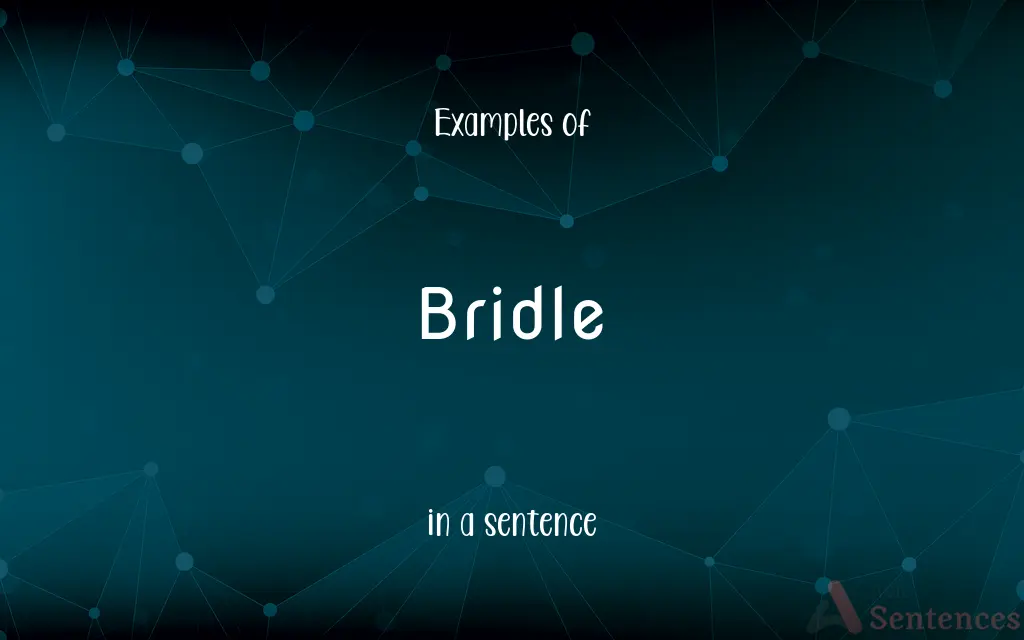 Bridle