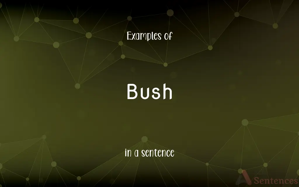 Bush