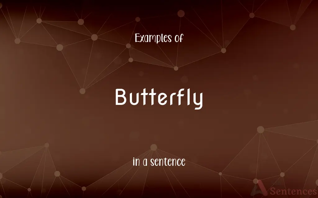 Butterfly