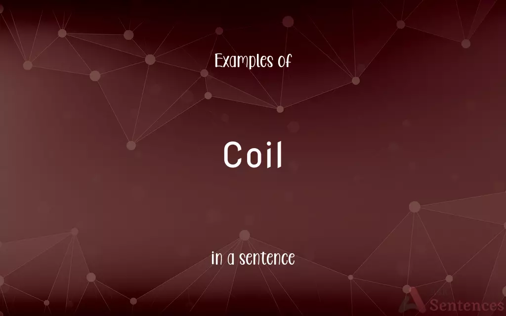 Coil