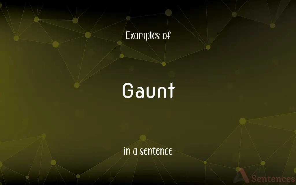 Gaunt