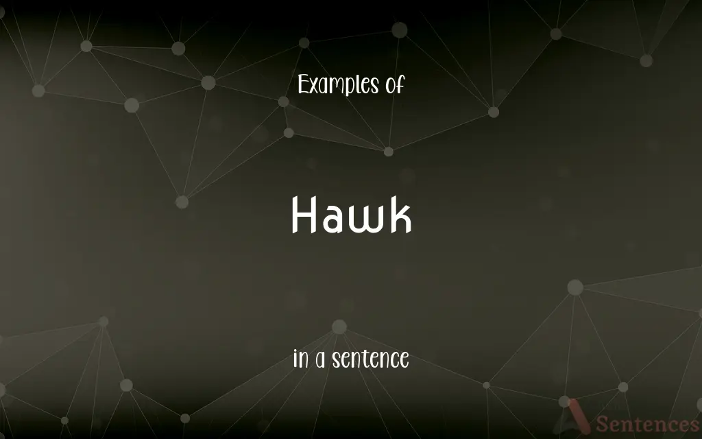 Hawk