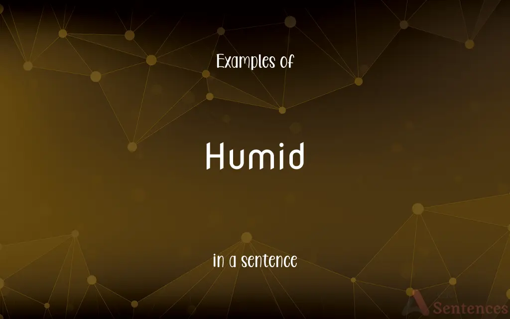 Humid