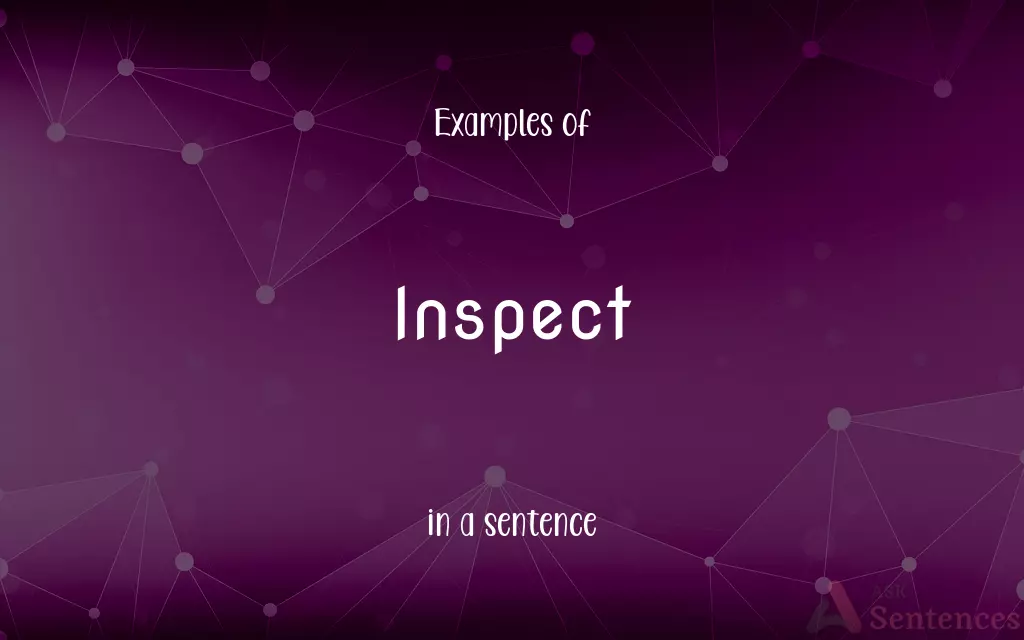 Inspect