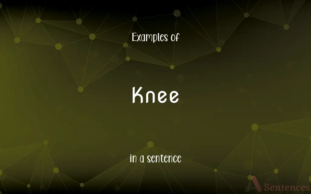 Knee