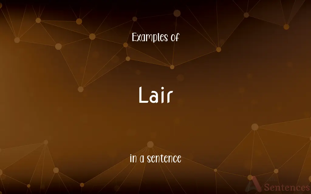 Lair