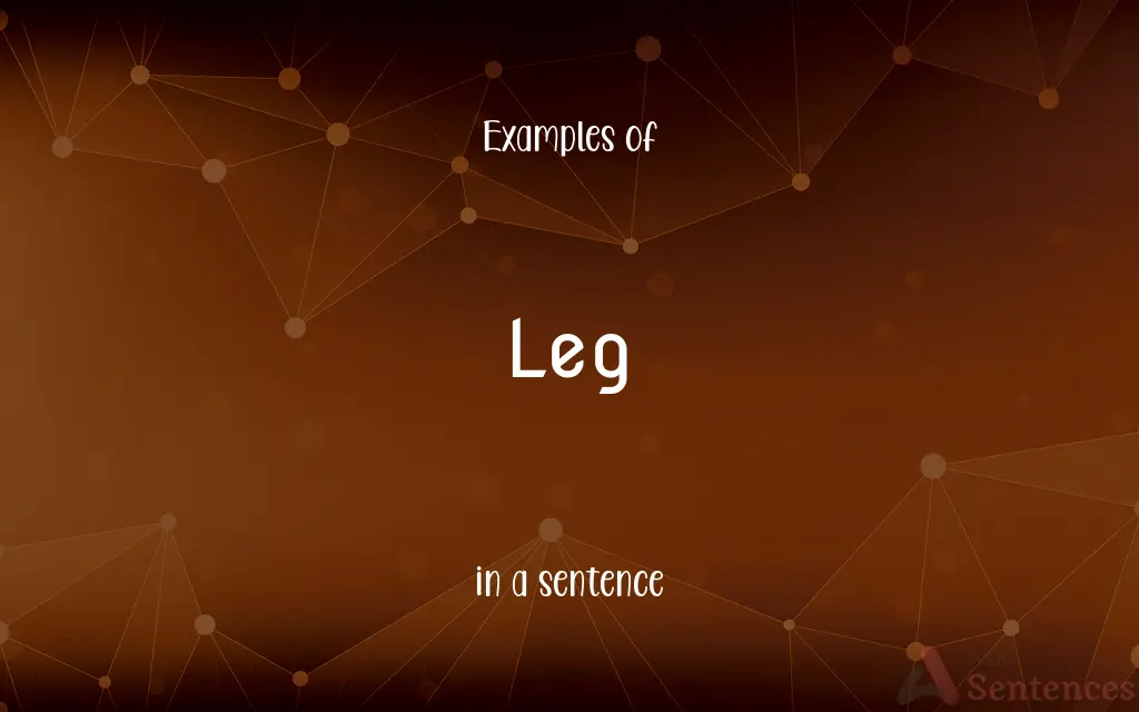 Leg