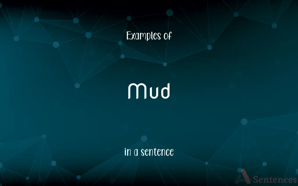 Mud