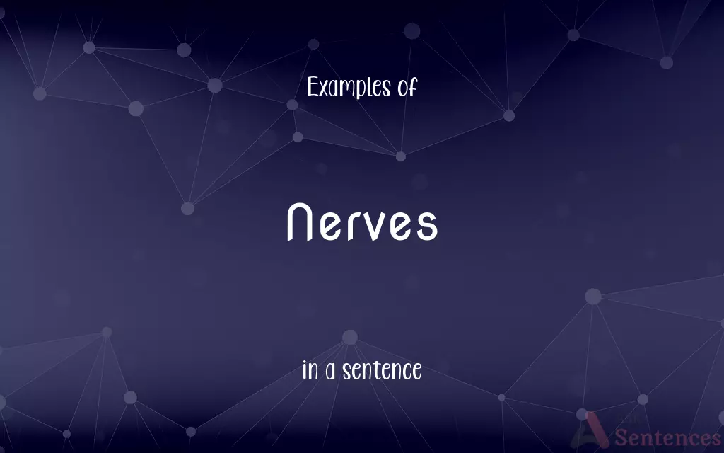 Nerves