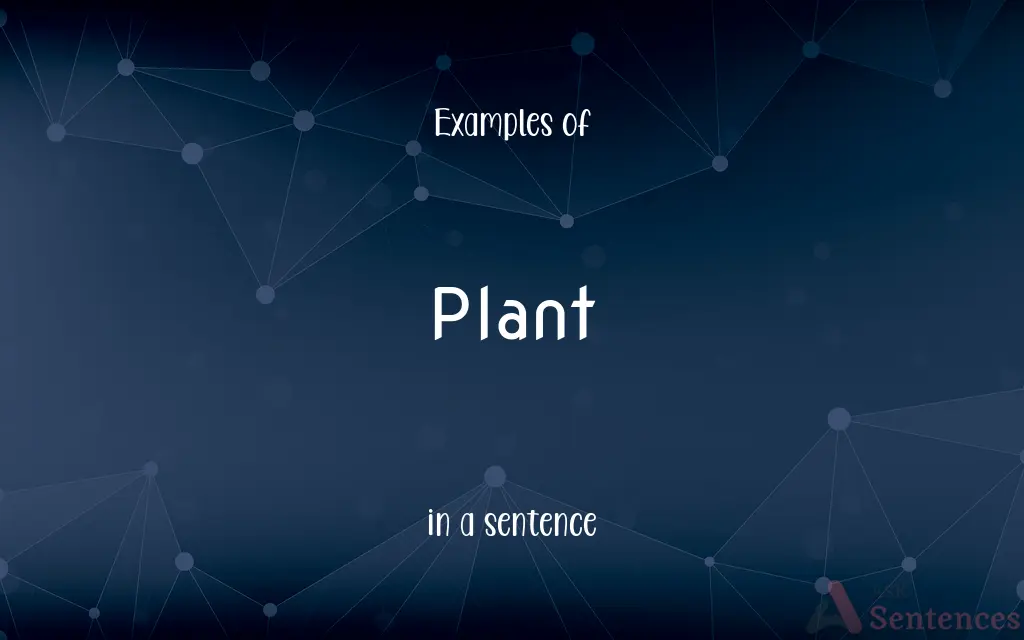 Plant