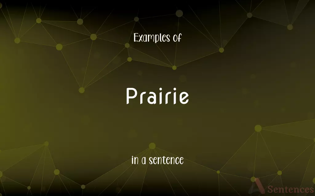 Prairie