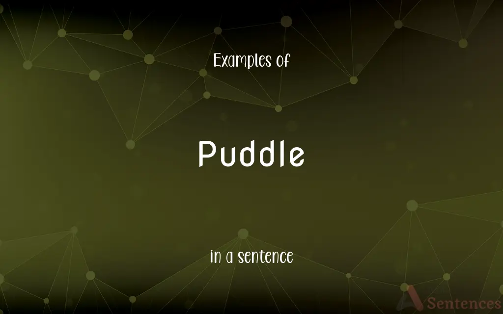 Puddle