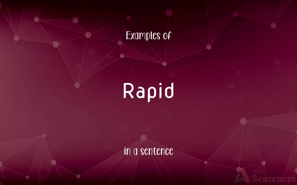 Rapid