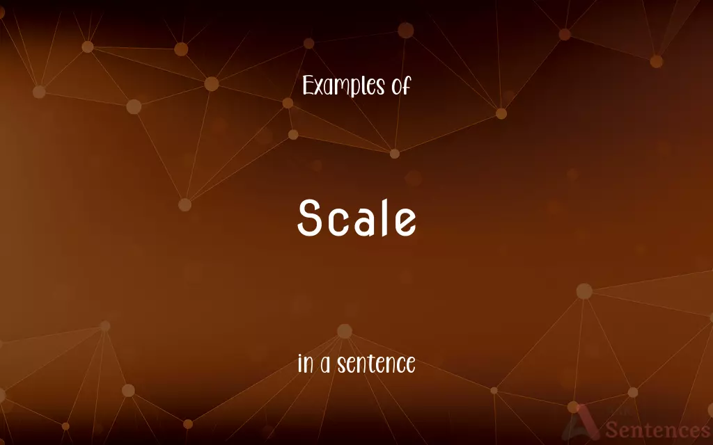 Scale