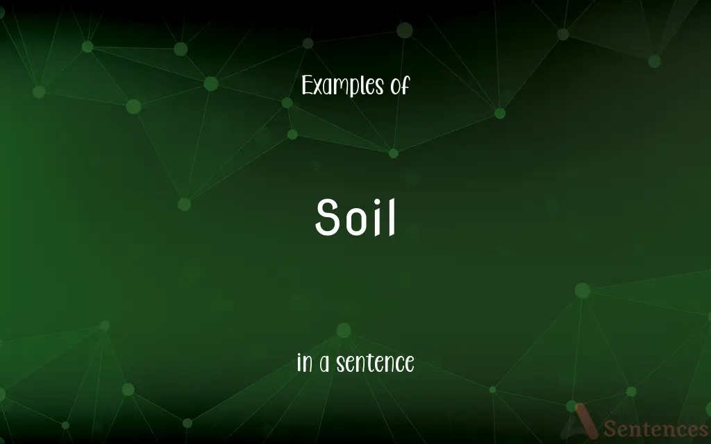 Soil