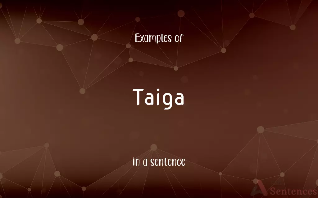 Taiga