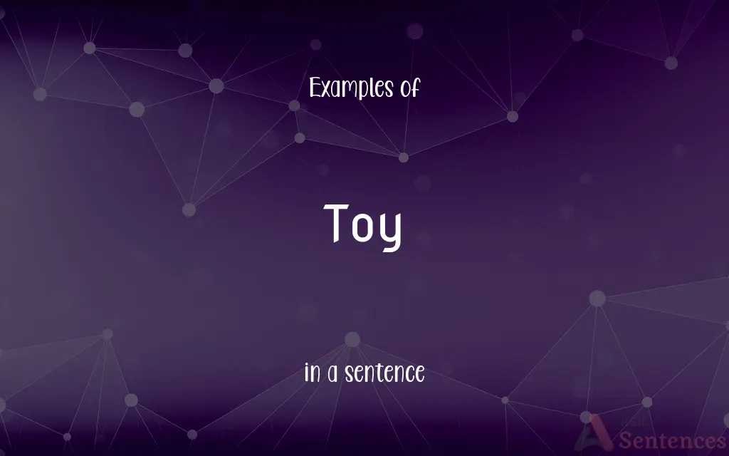 Toy