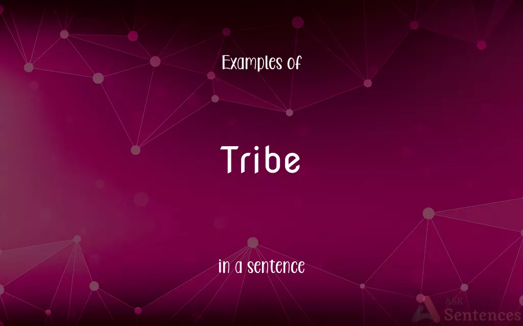 Tribe