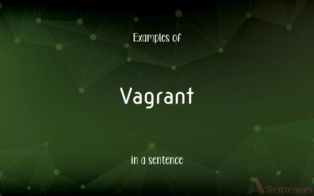 Vagrant