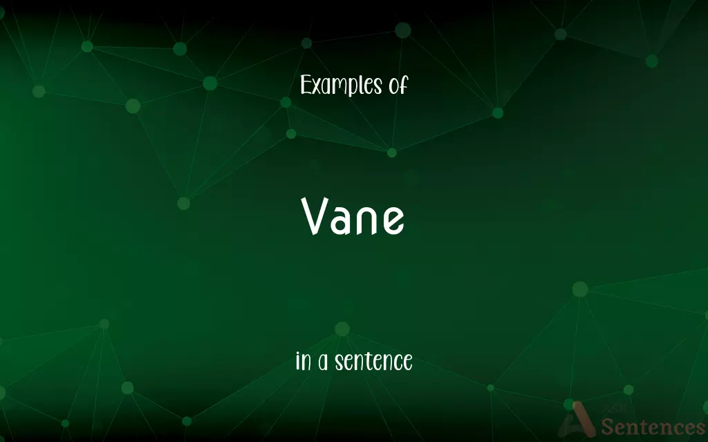 Vane