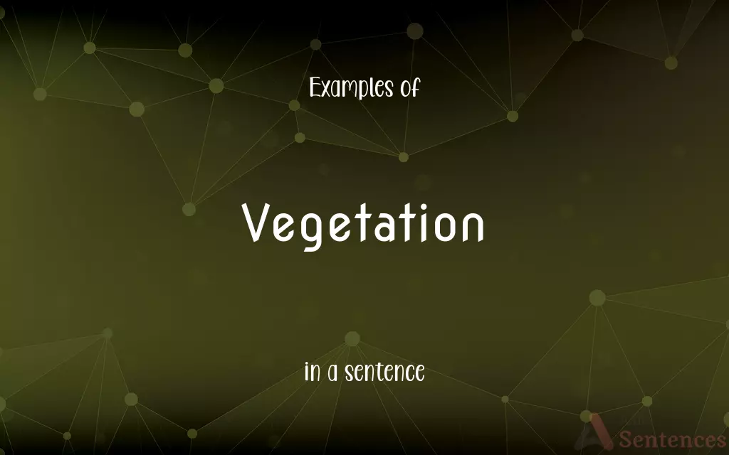 Vegetation